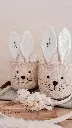 IMG_20250210_104033_156.webp
