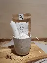 20250428_221755.webp