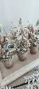 IMG_20250616_144301.webp