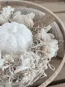 1457615 Herbstteller 4:3.webp
