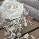 IMG_20250916_170657.webp