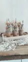 Mini-Trockenblumen im Naturtopf – Boho-Charme